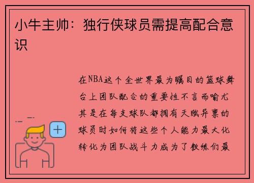 小牛主帅：独行侠球员需提高配合意识