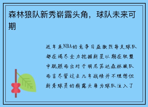 森林狼队新秀崭露头角，球队未来可期