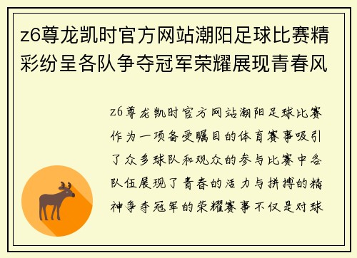 z6尊龙凯时官方网站潮阳足球比赛精彩纷呈各队争夺冠军荣耀展现青春风采