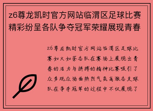 z6尊龙凯时官方网站临渭区足球比赛精彩纷呈各队争夺冠军荣耀展现青春风采