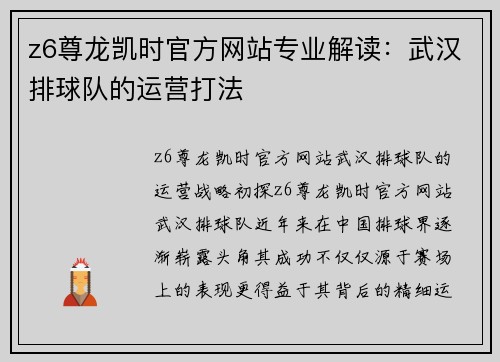 z6尊龙凯时官方网站专业解读：武汉排球队的运营打法